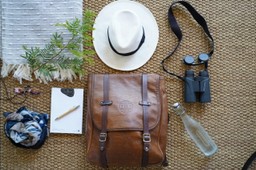 safari essentials